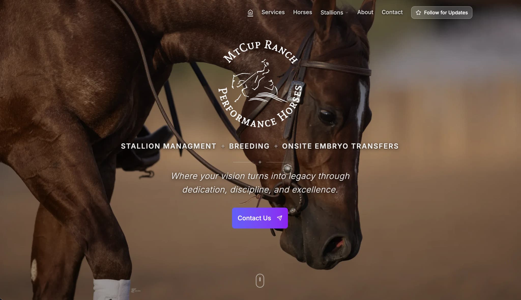 MtCup Ranch homepage
